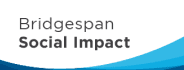 Bridgespan Social Impact